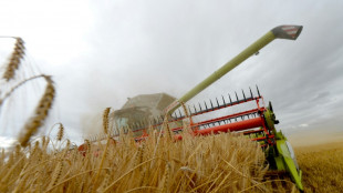 Landwirt wird bei Arbeitsunfall in Niederbayern eingeklemmt und stirbt