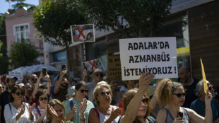 Locals protest against Turkish island's 'monstrobuses'