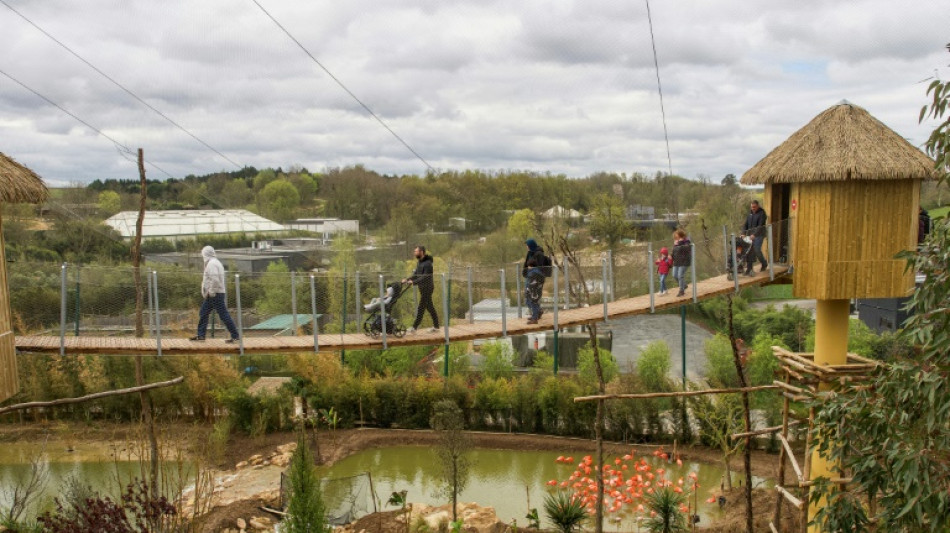 Le zoo de Beauval inaugure une volière présentée comme la plus grande d'Europe