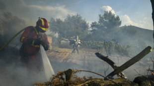 Spain wildfire resumes, threatening natural park 