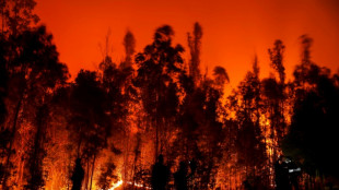 Chileans who survived deadly forest fire fear flames will return