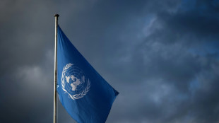 ONU destituye a funcionario chileno tras un año de investigación interna