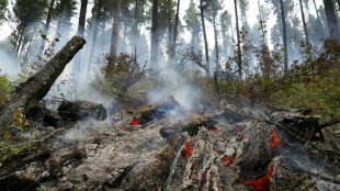 Anklage wegen Brandstiftung nach Waldbrand in Nationalpark Sächsische Schweiz