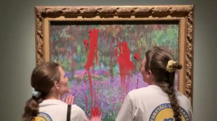 Suède: des militantes écologistes badigeonnent de peinture un tableau de Monet