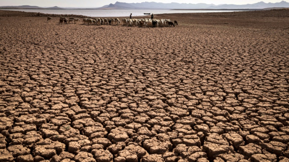 Climat: le monde vers +2,6°C à cause d'engagements "pitoyablement" insuffisants