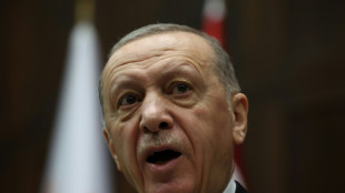 Erdogan somete la adhesión de Suecia a la OTAN al parlamento turco para su votación