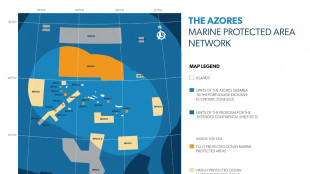 Portogallo: approvata rete aree marine protette alle Azzorre