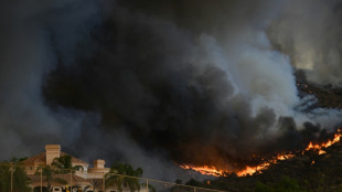 Un vaste incendie près de Los Angeles double de taille en 24 heures