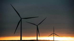 Un village des Deux-Sèvres refuse des éoliennes "plus hautes que la tour Montparnasse"