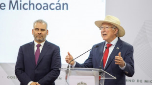 México e EUA firmam acordo para oferecer segurança a inspetores de abacate