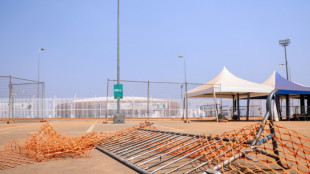 Bousculade mortelle à la CAN: le gouvernement camerounais veut "améliorer" l'accès au stade