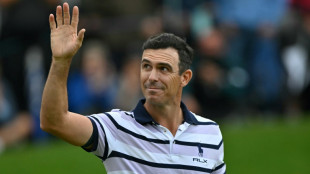 Horschel's eagle beats McIlroy in PGA Championship play-off 