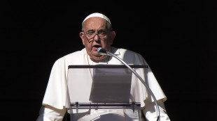 Il Papa, "basta colpire civili, rispettate i diritti umani"