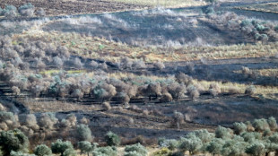 'War ruined me': Lebanon's farmers mourn lost season