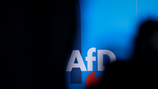 AfD liegt in allen fünf ostdeutschen Flächenländern deutlich vorn