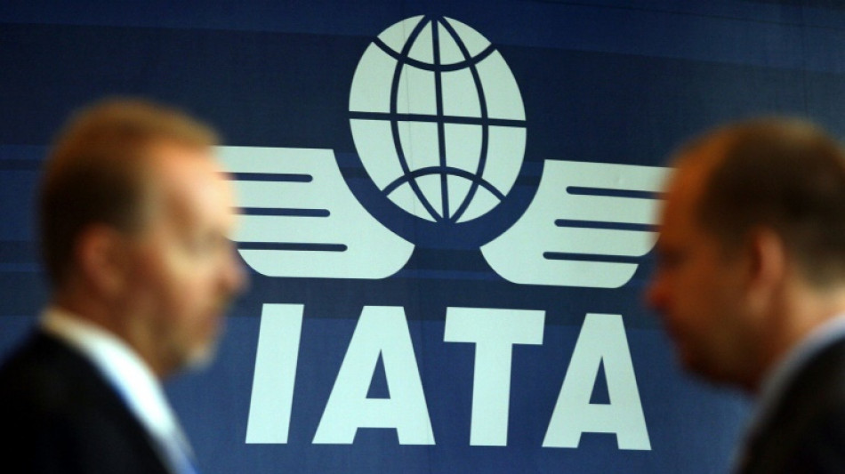 IATA registra recorde de tráfego aéreo de passageiros em 2024