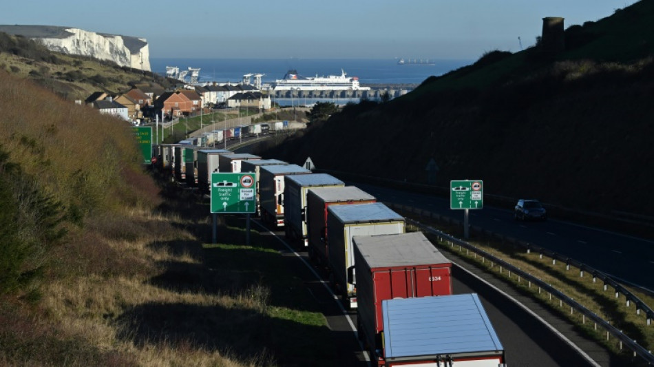 Freight lobby urges UK-France talks to ease port queues