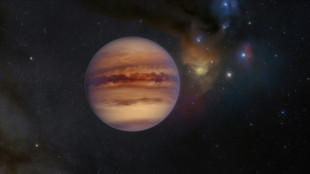 Telescópio Euclides descobre novos planetas sem estrelas