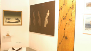 Una exposición de arte contemporáneo trae "un pedacito de Cuba" a las puertas de París