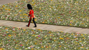 Flowers left for Queen Elizabeth to be composted, re-used in parks