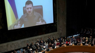 Zelensky calls on world to stop Russia, more atrocities feared