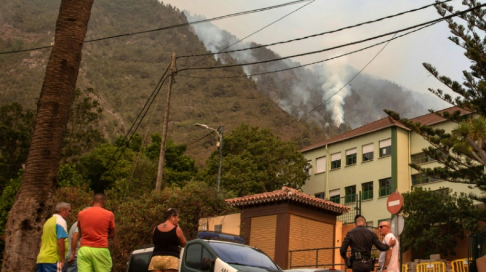 Feu à Tenerife: les pompiers protègent des maisons, la qualité de l'air affectée