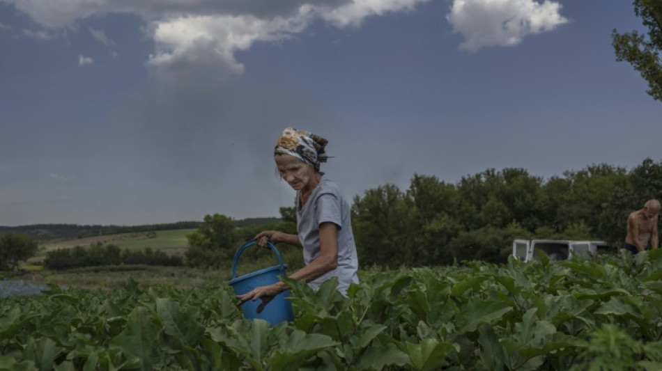 La agricultura en primera línea de fuego en el este de Ucrania