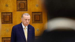 Erdogan, 'porteremo Netanyahu in tribunale per Rafah'