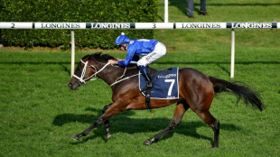 Foal of champion Australian mare Winx sells for record $6.6 million