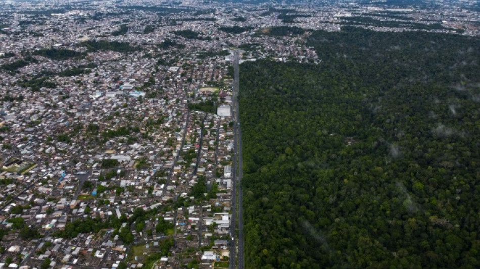 Un crecimiento verde en la Amazonía atraería miles de millones de dólares, según un estudio