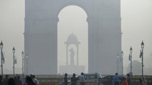 "Peligrosa" niebla tóxica envuelve la capital de India