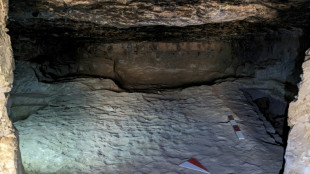 Egypte: 33 tombes antiques découvertes à l'ouest d'Assouan