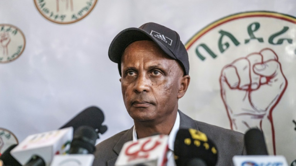 Ethiopian dissident Eskinder Nega freed from detention: party