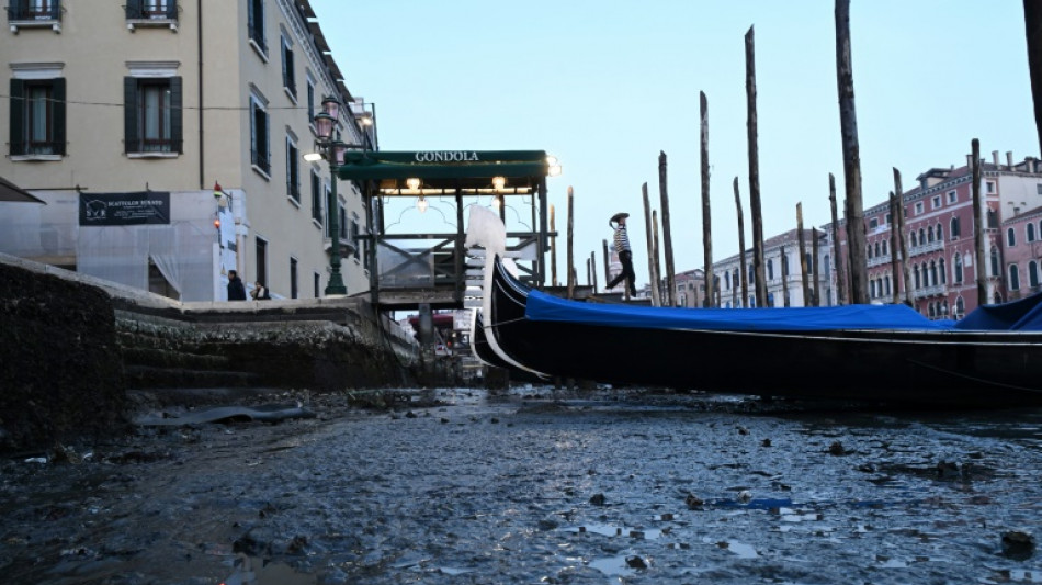 Donna Leon hat sich in Venedig noch nie bedroht gefühlt