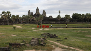 Cade un albero nel sito di Angkor in Cambogia, un morto