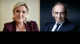 Twitter suspend "par erreur" des comptes de proches de Le Pen et Zemmour