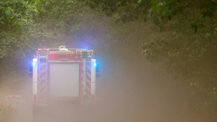 Feuerwehr kämpft weiter gegen Waldbrände in Sachsen und Brandenburg