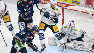 Erster Matchball abgewehrt: Straubing verkürzt gegen Berlin