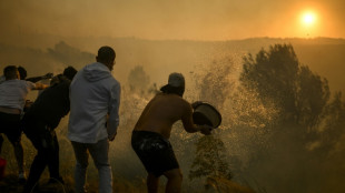 Acht leicht Verletzte bei Waldbrand nahe Lissabon 