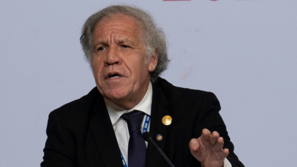 Almagro violó "obligaciones éticas" de OEA por relación con subalterna, según informe