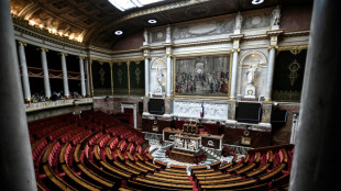França entra na reta final das legislativas com extrema direita forte