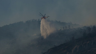 Grèce : feu de forêt près d'Athènes, risques très élevés dans six régions 