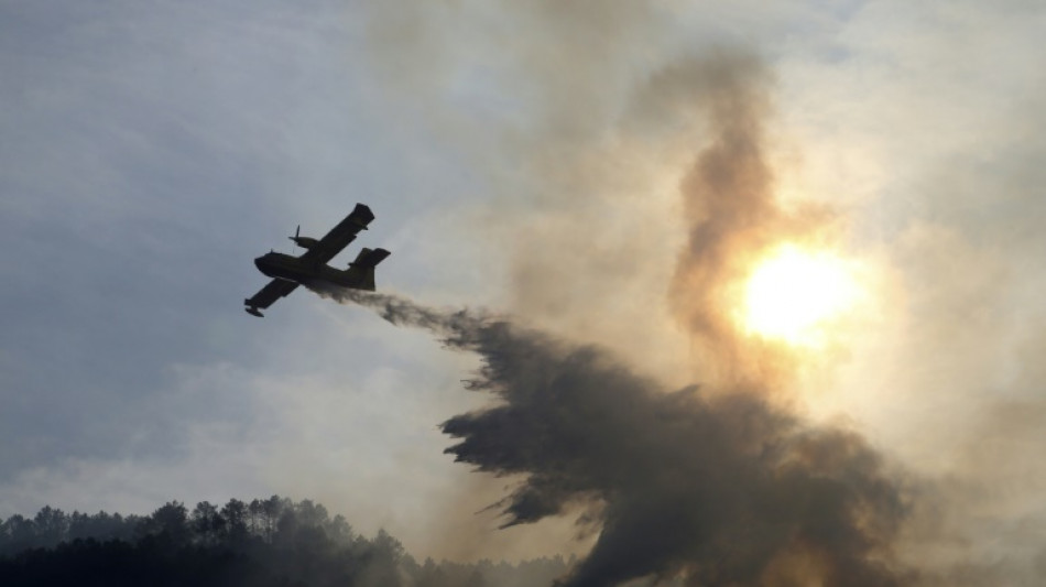 Haute-Corse: l'incendie qui a parcouru "450 hectares" lundi est "fixé"
