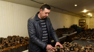 In war-torn Ukraine, dimmed hopes for escargot exports