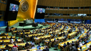 L'occupation israélienne en débat à l'Assemblée générale de l'ONU