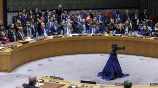 Israele convoca ambasciatori Paesi pro Palestina all'Onu