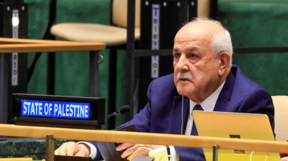 Leaders 'should respect' wishes of Palestinians to stay in Gaza: Palestinian UN envoy