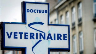 Vétérinaire: loin du rêve d'enfant, une profession endeuillée par les suicides