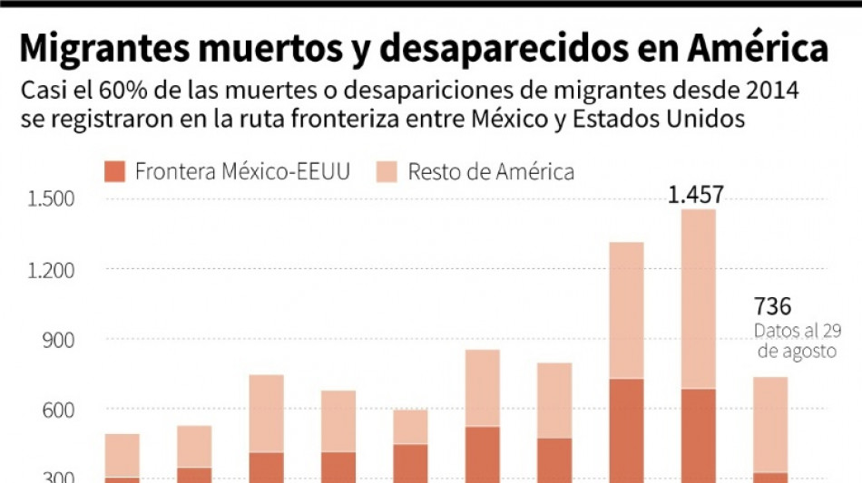 Frontera EEUU-México es la ruta migratoria terrestre más peligrosa del mundo, según la OIM