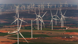 En Espagne, l'éolien porté par des vents favorables